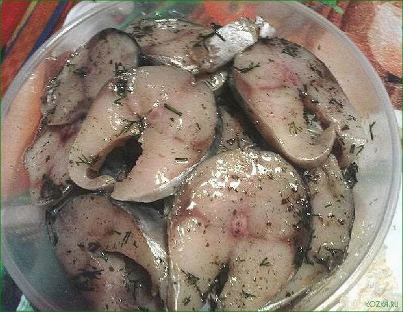 Изысканные рецепты приготовления блюд из свежей рыбы сагудай