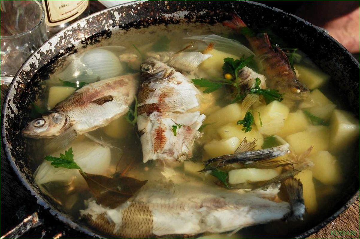 Рыбный суп из корюшки