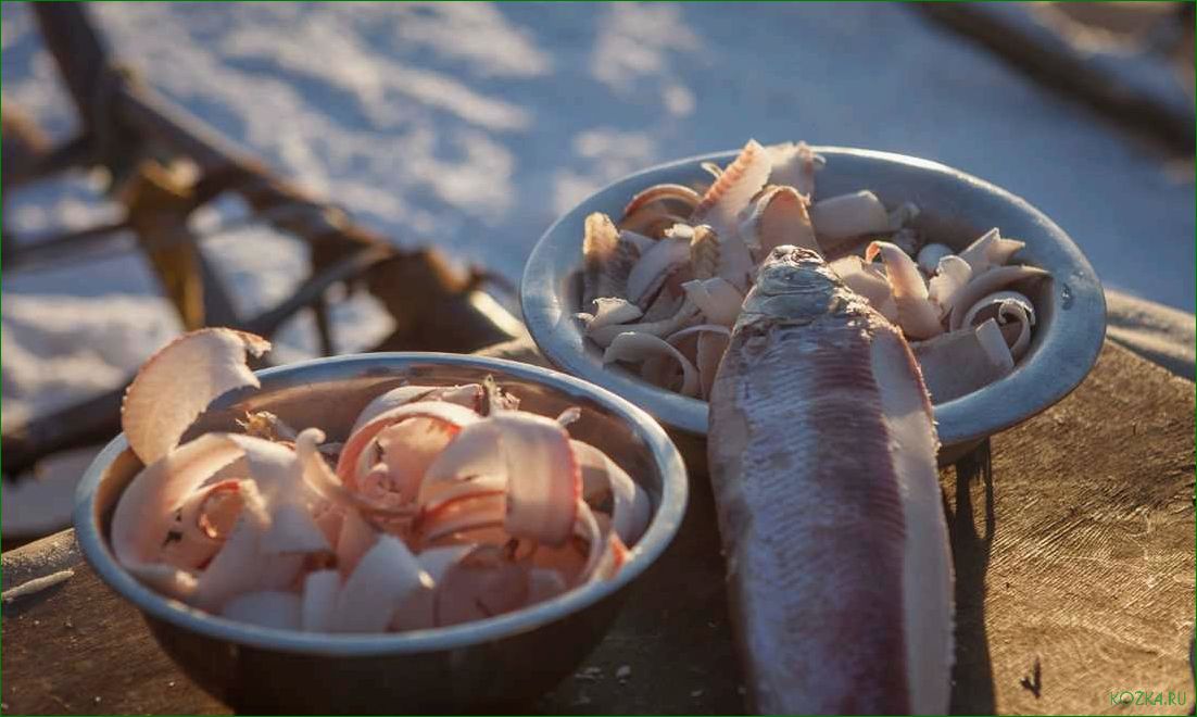 (приготовление, блюда, сырого, рыбного, мяса) Приготовление блюда из сырого рыбного мяса: рецепты и советы