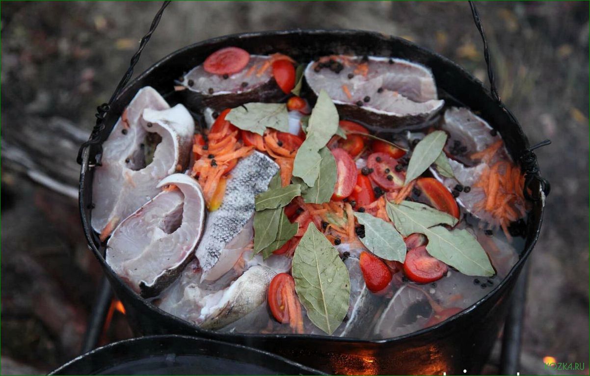 (приготовление, вкусной, рыбной, открытом, огне) Приготовление вкусной рыбной ухи на открытом огне