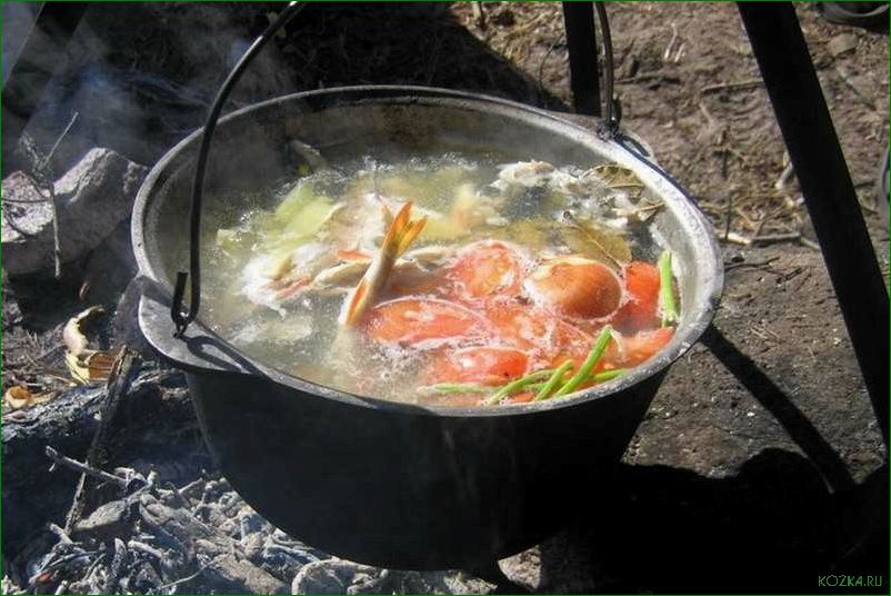 (приготовление, вкусной, рыбной, открытом, огне) Приготовление вкусной рыбной ухи на открытом огне
