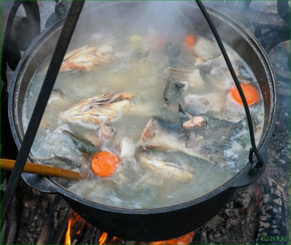 (приготовление, вкусной, рыбной, открытом, огне) Приготовление вкусной рыбной ухи на открытом огне
