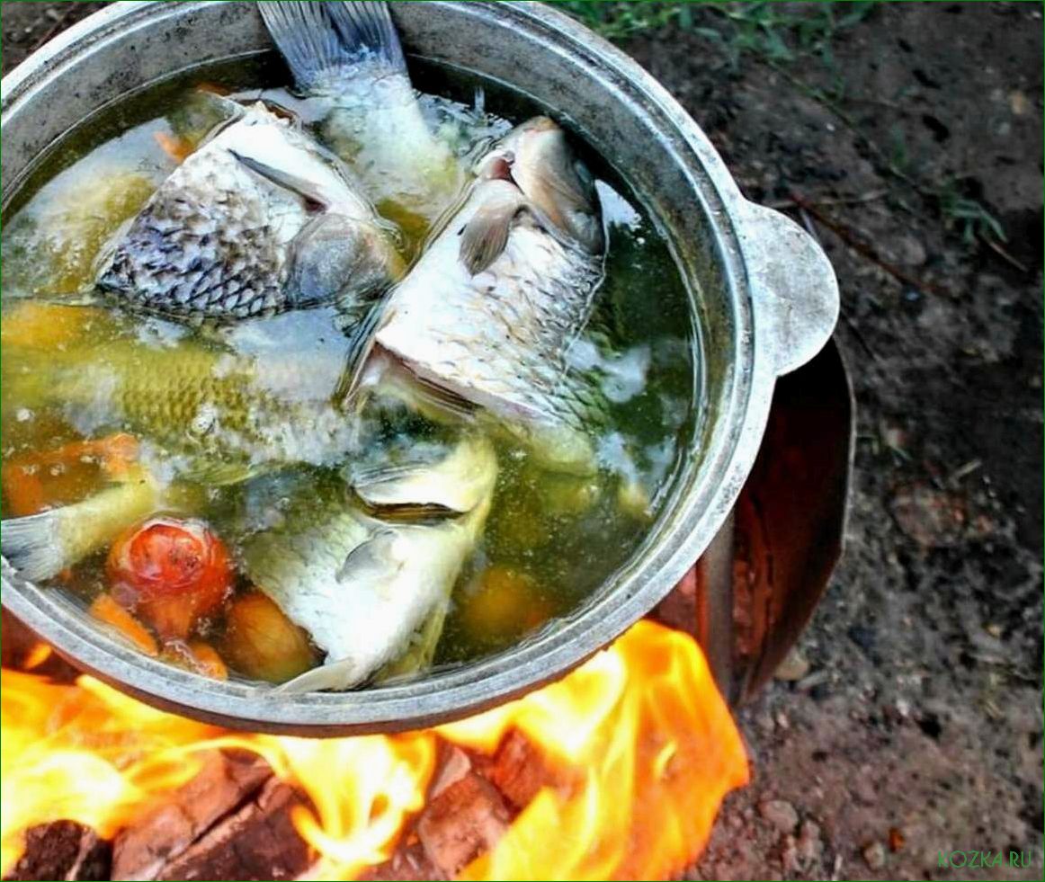 (приготовление, вкусной, рыбной, открытом, огне) Приготовление вкусной рыбной ухи на открытом огне