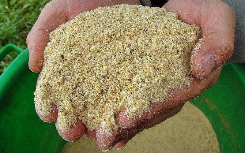 (прикормить, плотву, летом) Как прикормить плотву летом?