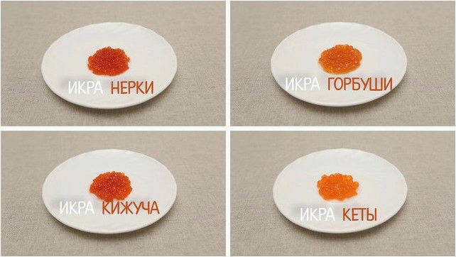 (бывает, икра, лососевых) Какая бывает икра лососевых рыб