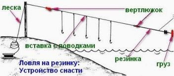 (ловля, хищника, резинку) Ловля хищника на резинку