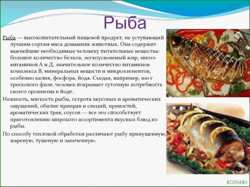 Исследование и разработка нового рецепта блюда из рыбы