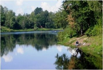 Рыбалка на Мсте