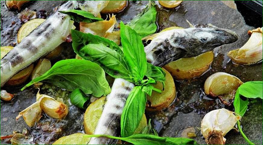 (вкусные, блюда, ледяной, рыбы) Вкусные блюда из ледяной рыбы
