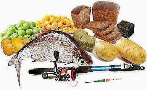 (десять, лучших, комбинированных, насадок, мирной) Десять лучших комбинированных насадок для мирной рыбы