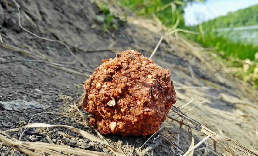 (основные, вкусы, протеиновых, шариков) Основные вкусы протеиновых шариков