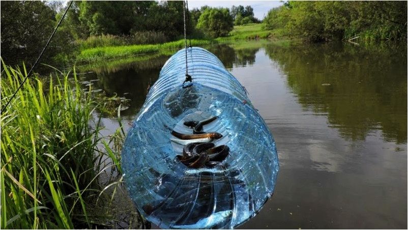 (нестандартных, способов, поймать, рыбу, снастей) 6 нестандартных способов как поймать рыбу без снастей