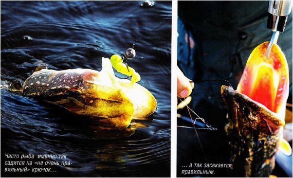 (ловля, щуки, большой, воде) Ловля щуки в большой воде