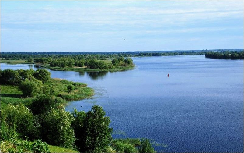 (рыбалка, низовьях, волги) Рыбалка в низовьях Волги