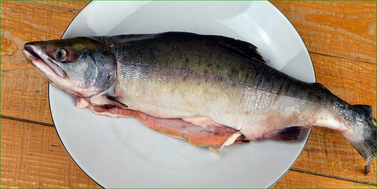 (приготовить, вкусное, рыбное, блюдо) Как приготовить вкусное рыбное блюдо