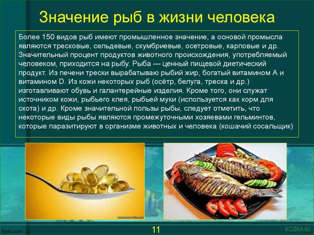 (разнообразие, блюд, рыбы, классических, экзотических) Разнообразие блюд из рыбы: от классических до экзотических