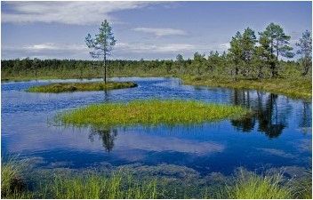 Ловля рыбы на границах, выбор места
