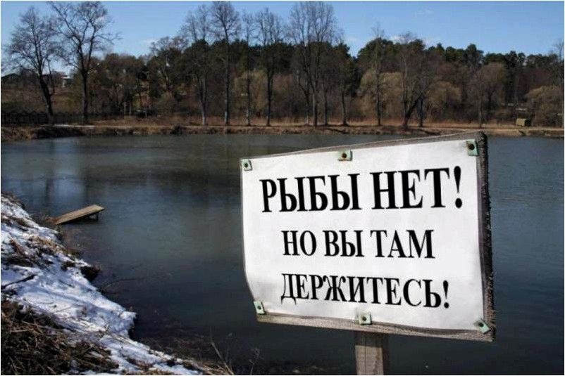 (почему, клюёт, рыба, основные) Почему не клюёт рыба. Основные причины неудачи на рыбалке