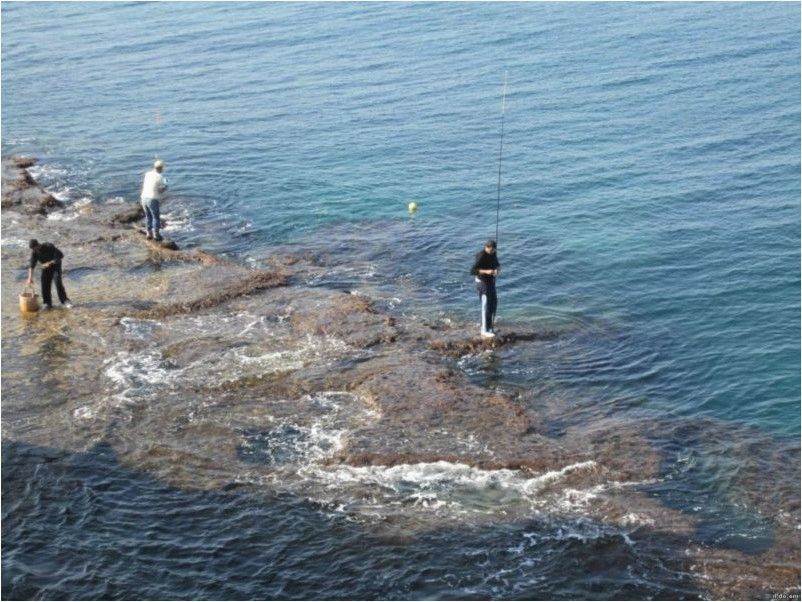 Прикорм и наживка, использующиеся на морской рыбалке