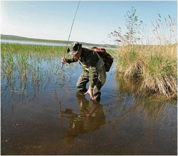 (прикормка, матчевой, ловле, летом) Прикормка при матчевой ловле летом