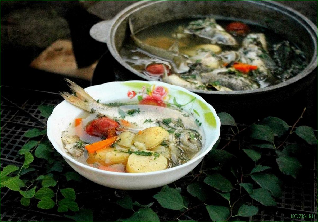 (рецепт, приготовления, вкусной, ароматной, рыбной) Рецепт приготовления вкусной и ароматной рыбной юшки — уха