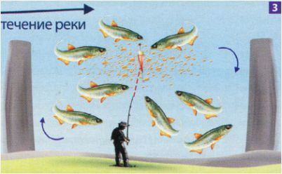 (ловля, уклейки, реке) Ловля уклейки в реке