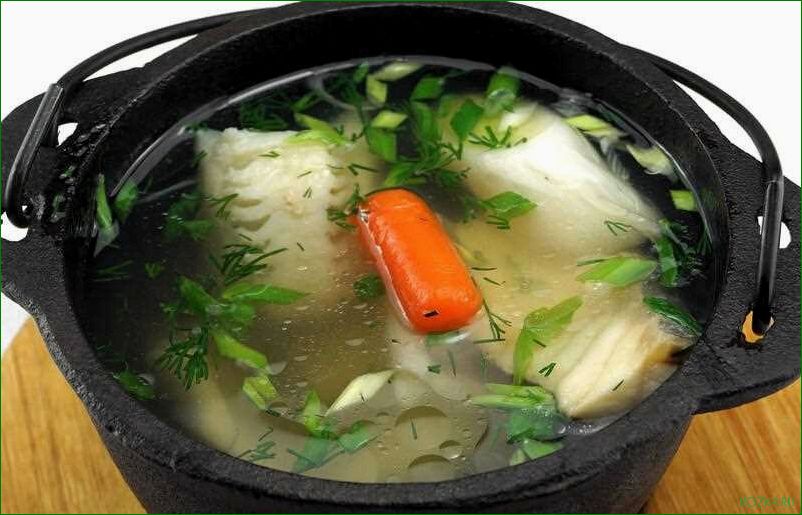 (приготовить, вкусный, рыбный, скороварке) Как приготовить вкусный рыбный суп в скороварке