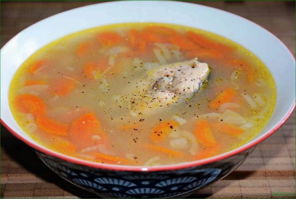 (приготовить, вкусный, рыбный, скороварке) Как приготовить вкусный рыбный суп в скороварке