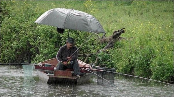 Советы по рыбалке в дождь