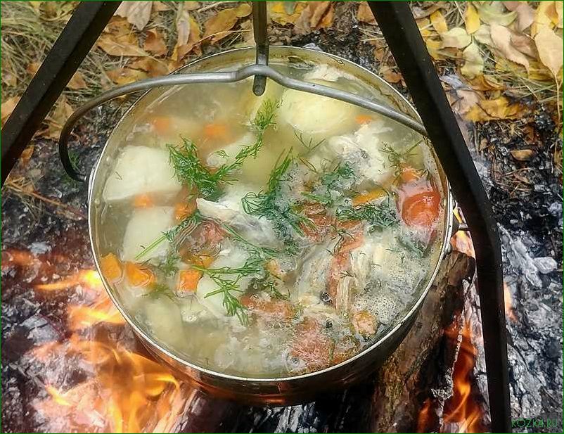 Голец суп рыбный