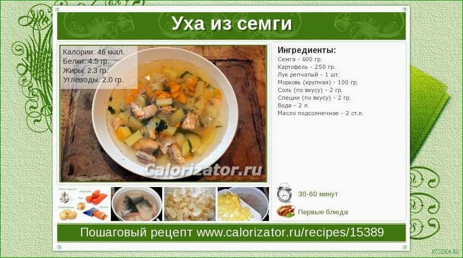 Калл суп рыбный: рецепт приготовления и полезные свойства