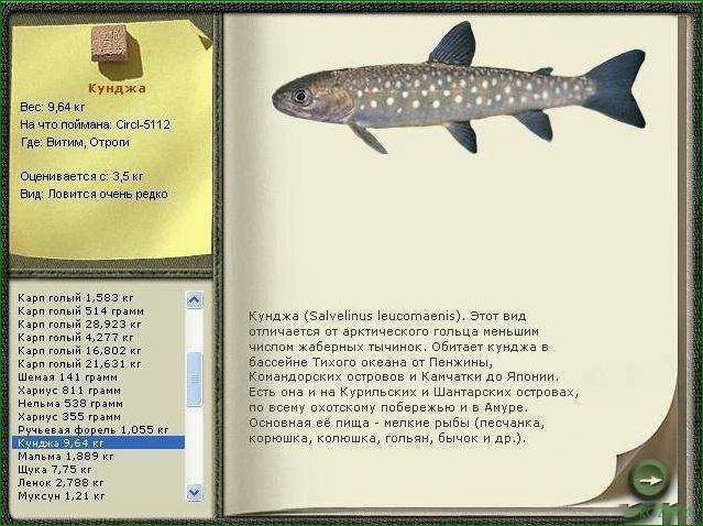 Блюда из рыбы кунджа