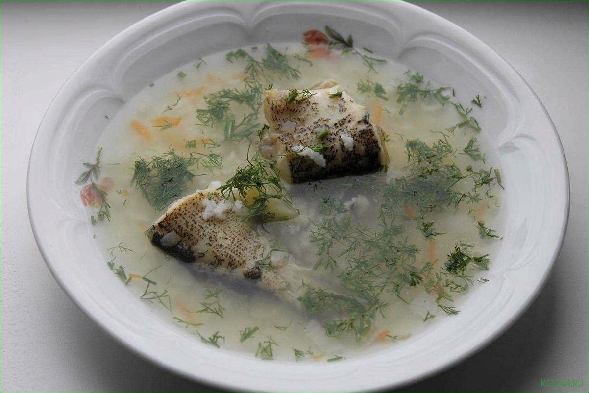 Рыбный суп из сазана