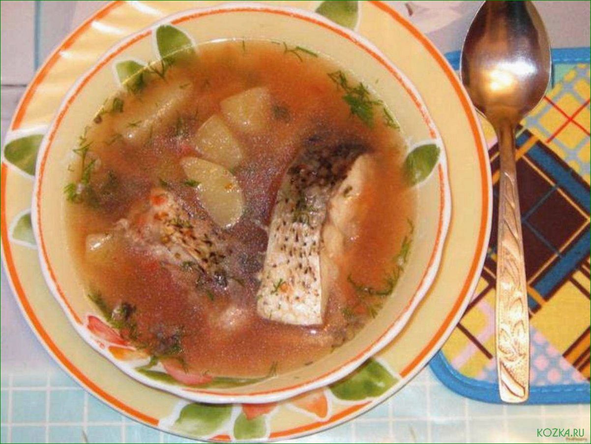 Рыбный суп из сазана