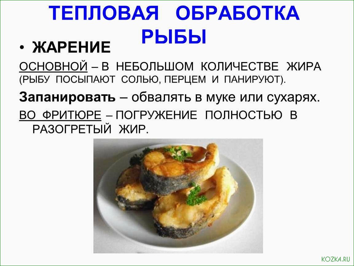 Введение в приготовление блюд из рыбы