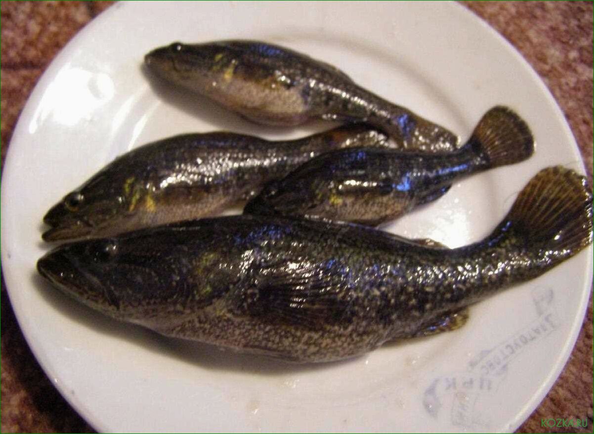 (блюда, ротана, рыбы) Блюда из ротана рыбы