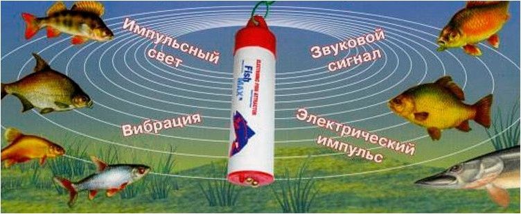 Что такое электронная приманка для рыбы и как ею пользоваться