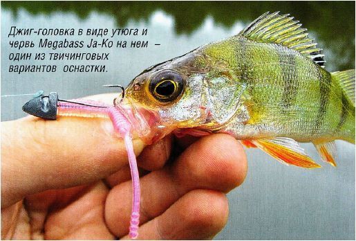 (ловля, легкие, приманки) Ловля на очень легкие приманки