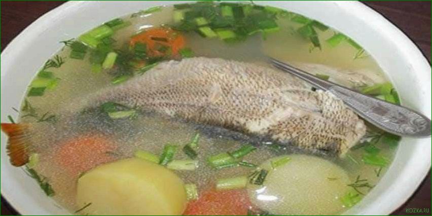 Рецепт рыбного супа из карасей