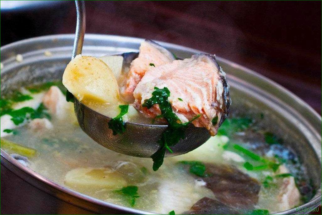 (приготовить, вкусный, рыбный) Как приготовить вкусный рыбный суп уха
