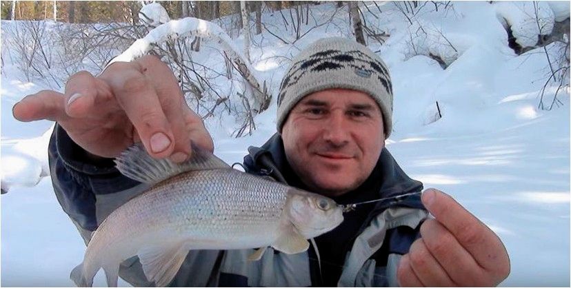 (особенности, ловли, хариуса, зимнее, время) Особенности ловли хариуса в зимнее время года