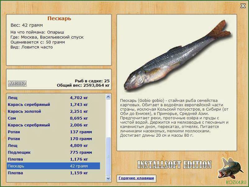 Пескарь рыба: блюда и рецепты