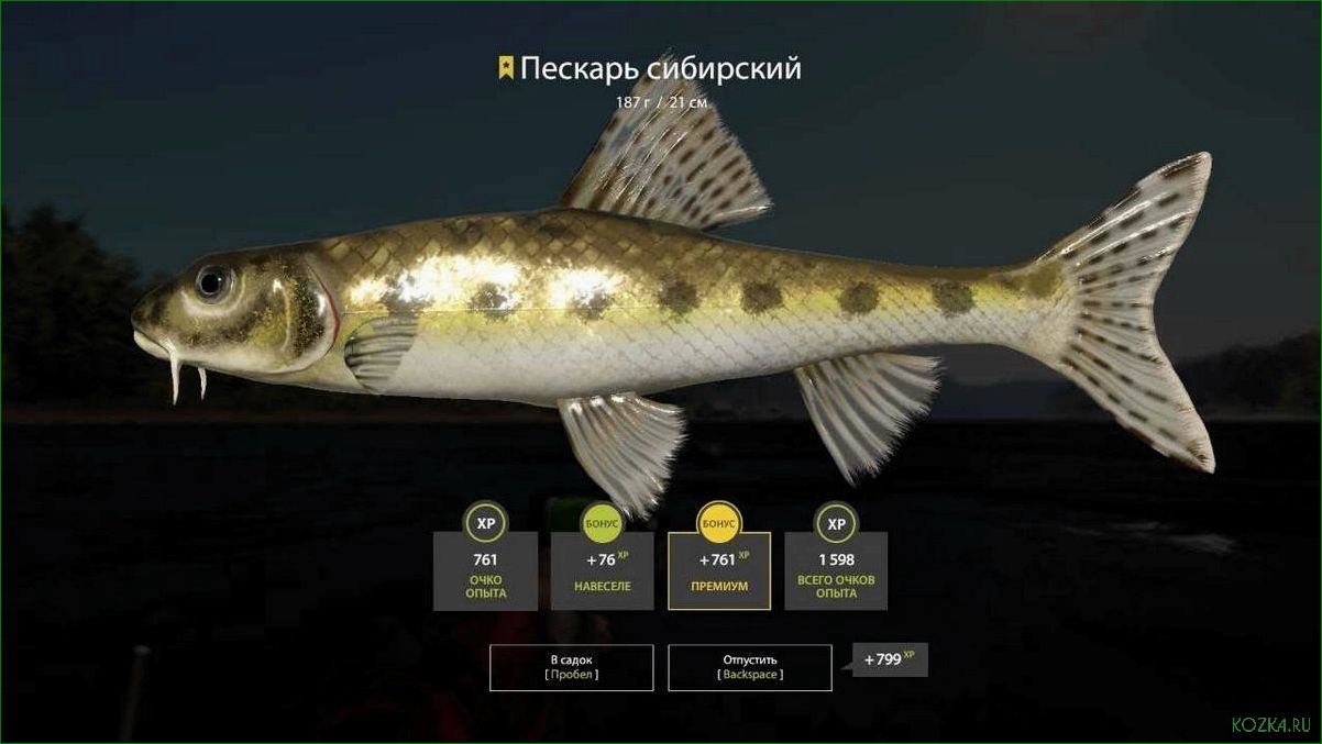 Пескарь рыба: блюда и рецепты