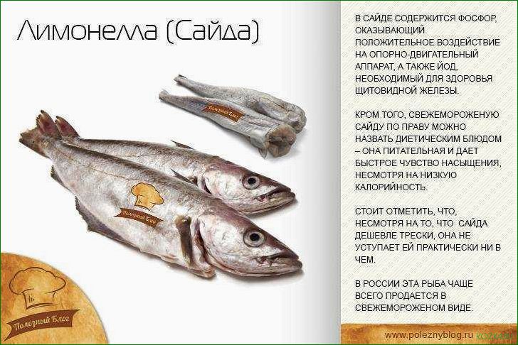 (рыба, лимонеллы, блюда, рецепты) Рыба лимонеллы: блюда и рецепты