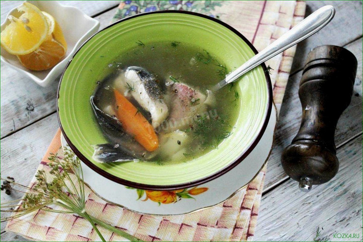 (рыбный, нори, рецепт, полезные, свойства) Рыбный суп с нори: рецепт и полезные свойства