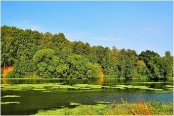 Рыбалка на Пахре