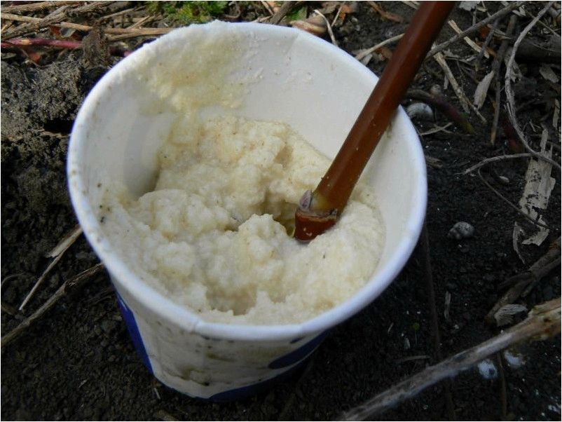 (самая, уловистая, болтушка, тонкости, приготовления) Самая уловистая болтушка. Тонкости приготовления