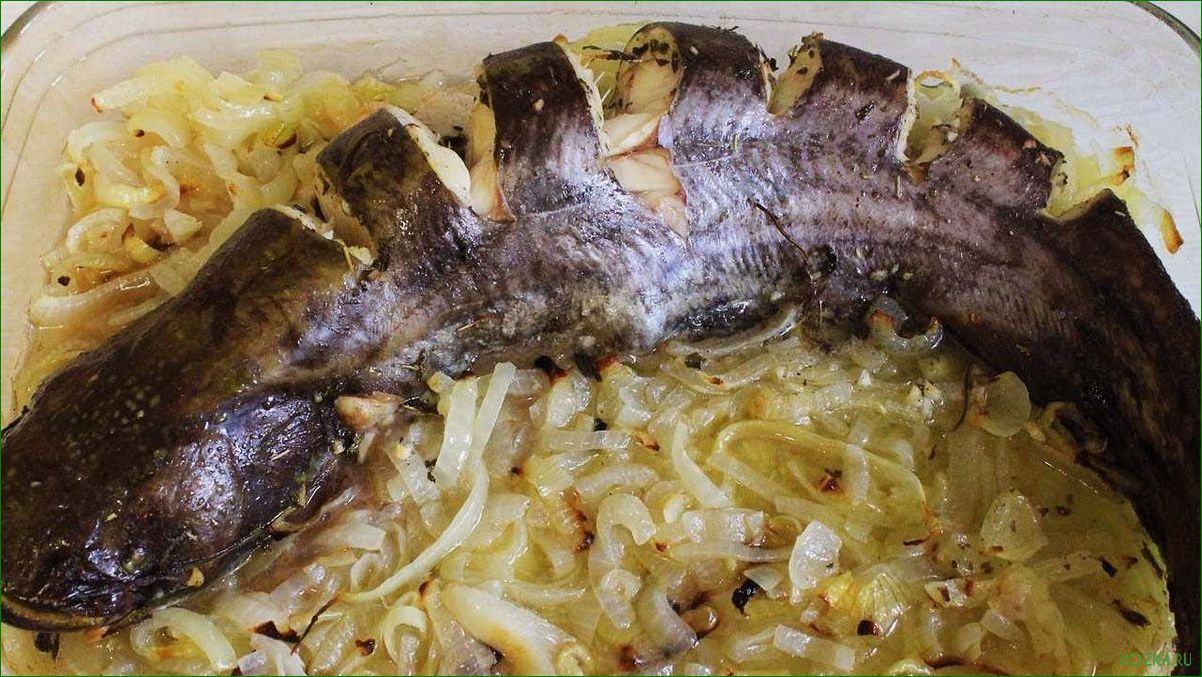 (блюда, рыбы) Блюда из рыбы сом