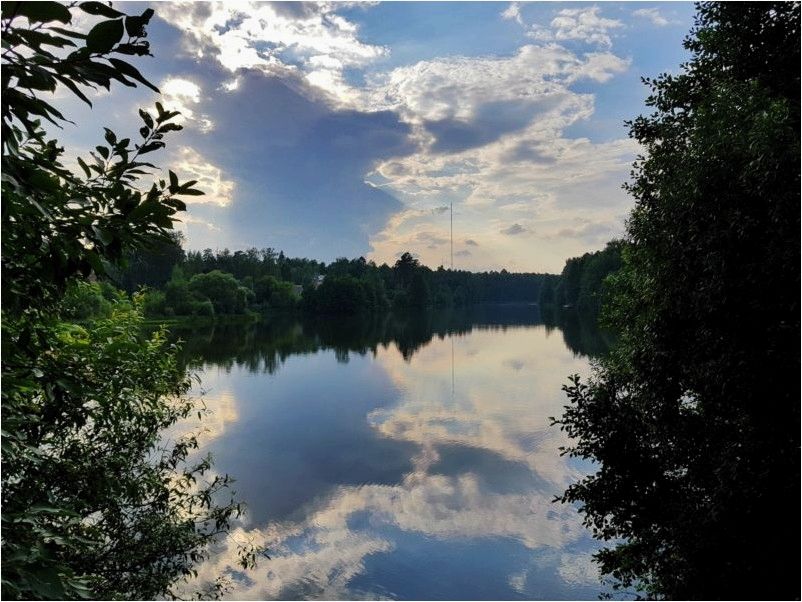 Как определить, какая рыба водится в водоёме