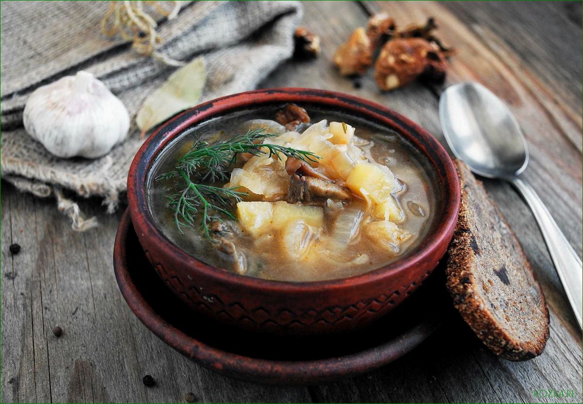 (приготовление, вкусного, полезного, рыбного, супа) Приготовление вкусного и полезного рыбного супа с добавлением прокислых ингредиентов
